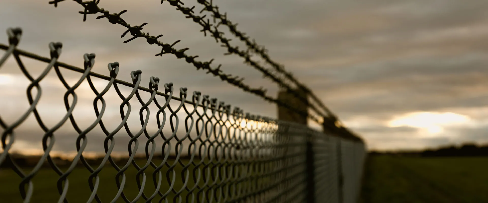 Chainlink Fencing